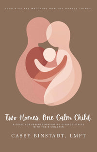 Two Homes, One Calm Child workbook cover